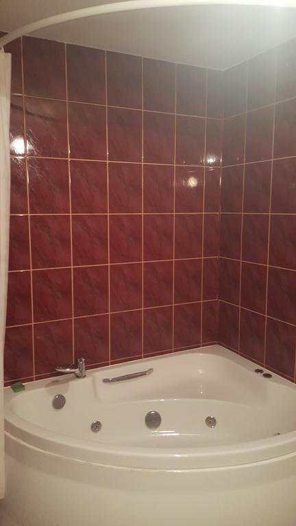 Pod Srebrna Roza Apartment Checiny  Bagian luar foto