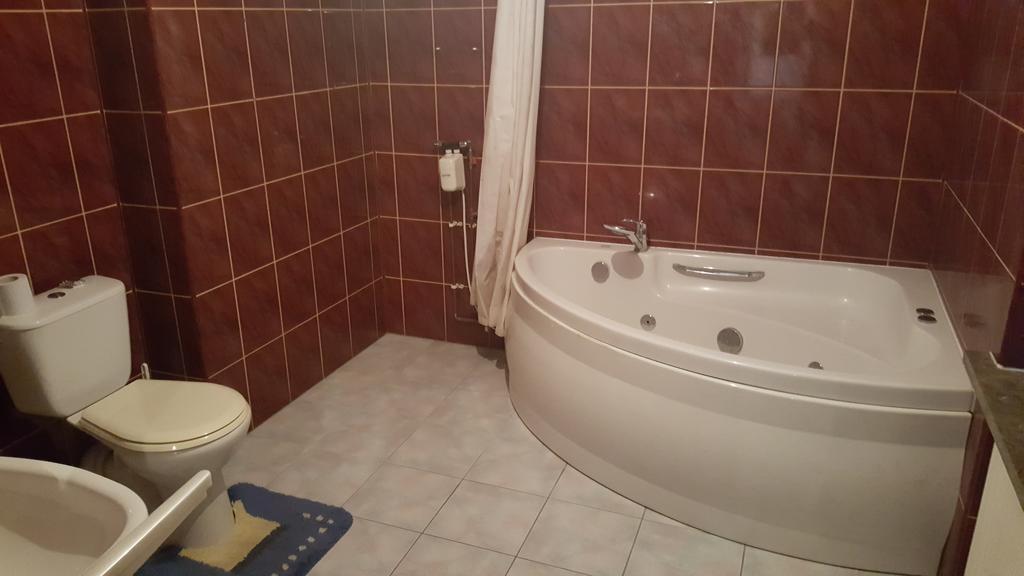 Pod Srebrna Roza Apartment Checiny  Bagian luar foto